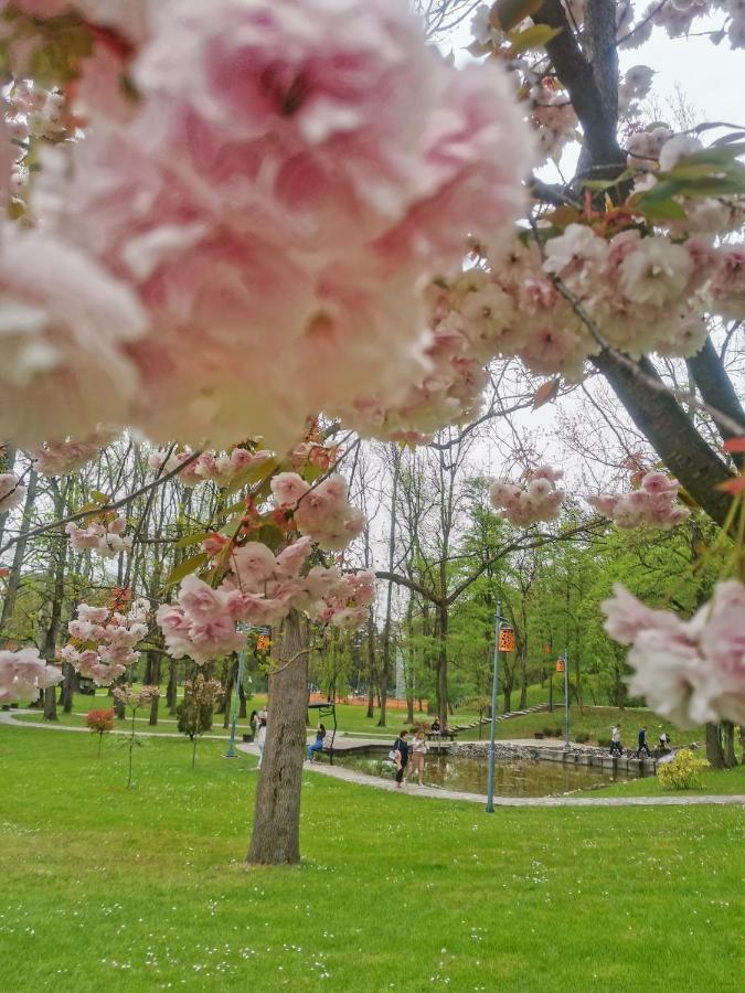 Apartman Japanski Vrt, Centar Врнячка-Баня Экстерьер фото